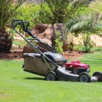 mower, nature, lawn, grass, palm trees, cape verde, mower, mower, mower, mower, mower