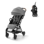 Top 6 Best Baby Strollers